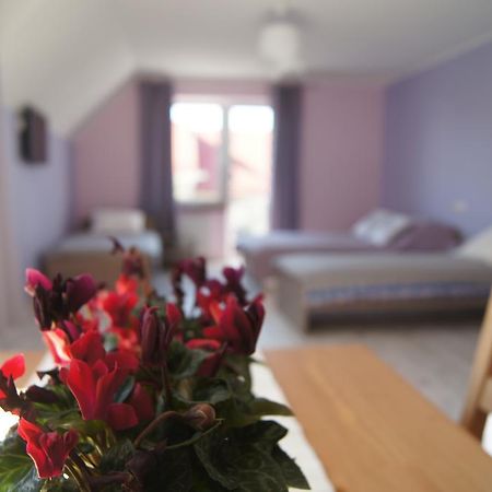 Villa Terra Pruszcz Gdański Exteriér fotografie