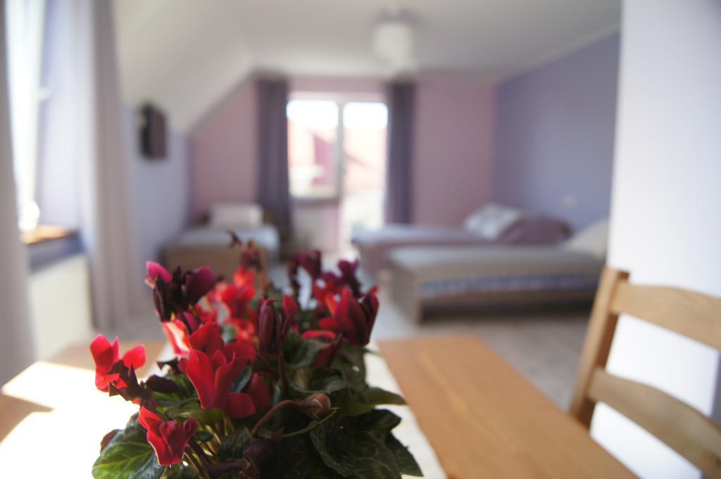 Villa Terra Pruszcz Gdański Exteriér fotografie